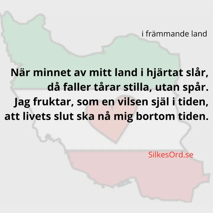 I frammande land